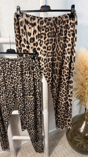 Curvy Leo Leggings (Set) (52/56)